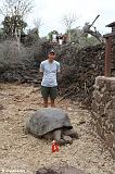 2007 Ecuador Galapagos turtle